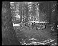 Image of Circle of children holding hands in a wooded clearing, 1939