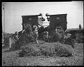 Image of Migrant workers harvesting hay, 1944