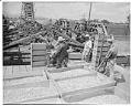 Image of Migrant workers harvesting, Skagit Valley, 1943