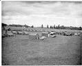 Image of Migrant workers camp, Skagit Valley, 1943