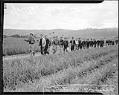 Image of Teenage farm workers returning from the fields, June 1942