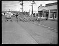 Image of Geese crossing street near Green Lake, Seattle, 1945