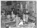Image of Women working at the Kirkland Cooperative Cannery, Kirkland, July 13, 1939