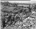 Image of Men scavenging in garbage dump, Seattle, 1937