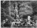 Image of Police and supporters of the anti-apartheid movement, Seattle, January 20, 1985