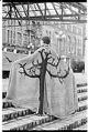Image of Cape designed by a 
