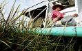Image of Robert Adiaz knocking down noxious weeds near Camano Island, November 8, 2002