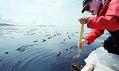 Image of Kurt Stick surveying herring spawning ground in Whatcom County, November 10, 2002
