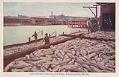 Image of Men with load of salmon on dock, Seattle, circa 1900