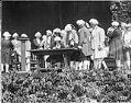 Image of Men in colonial period dress performing in the 