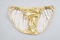 Image of Gold bathing suit worn by Ric Weiland, 1970s