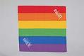 Image of Seattle Pride bandana, Elysian Brewing branded, ca. 2010s
