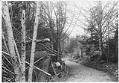 Image of Magnolia Bluff bicycle path, Seattle, circa 1898