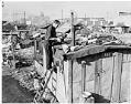 Image of Edwin Hill repairing roof of shack in Hooverville, Seattle, November 1939