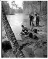 Image of Man dumping fish into stream, May 1948