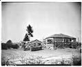 Image of Houses under construction in Bellevue, May 1946