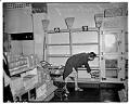 Image of Empty shelves in grocery store, Seattle, 1942