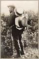 Image of Alaska packer, circa 1901