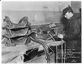 Image of Worker making saddle at Duncan & Sons, Seattle, December 23, 1918