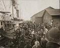 Image of Steamship 
