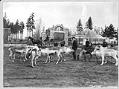 Image of Reindeer and Sami at Woodland Park, 1898