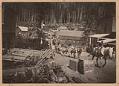 Image of Packtrain in Silverton, Washington, circa 1895