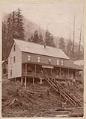 Image of Mountain View House, Silverton, Washington, circa 1895