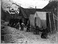 Image of The favorite dog team of Sheep Camp, circa 1898