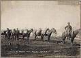 Image of Part of the Brooks packtrain, Atlin, B.C., circa 1900