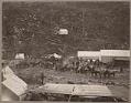 Image of People and pack animals on the Chilkoot Trail, April 21, 1898