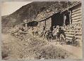 Image of Mule train moving by the side of the Klondike River, circa 1904