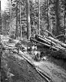 Image of Horse teams pull an automobile from a mudhole at Snoqualmie Pass, May 1915