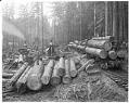 Image of Loading logs, circa 1916
