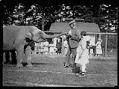 Image of Roald Amundsen and Chukchi girls with elephant at Woodland Park, Seattle, 1921