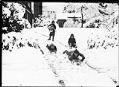 Image of Children sledding, circa 1920