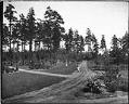 Image of Woodland Park, Seattle, circa 1910