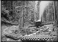Image of Locomotive pulling coal cars, circa 1913