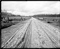 Image of Pacific Highway near Bothell, Washington, 1915
