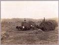 Image of Haying near Georgetown, Washington, circa 1914