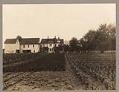 Image of Farmhouse and gardens near Georgetown, Washington, circa 1914