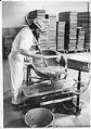 Image of Liberty Orchards employee David Firth pouring candy into cooling tray, Cashmere, WA, August 1978