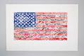 Image of American flag art print by Don Paulson, 1970